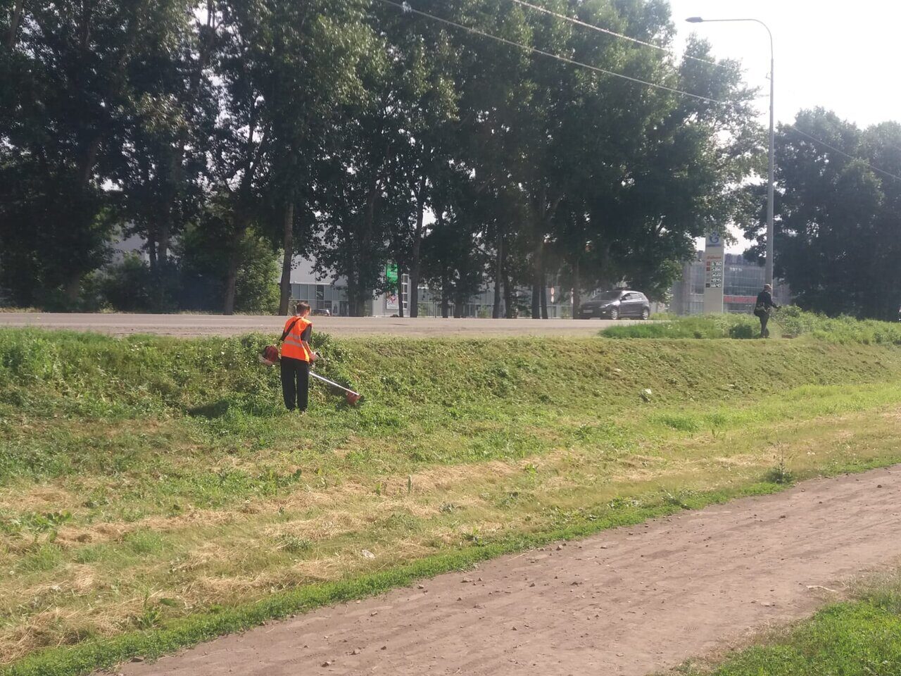 Плановые работы по сносу и обрезке зеленых насаждений.